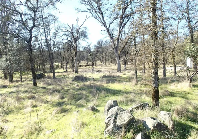 2nd image of 0 Stoney Oaks, Bangor, CA 95914 | MLS# OR26011657