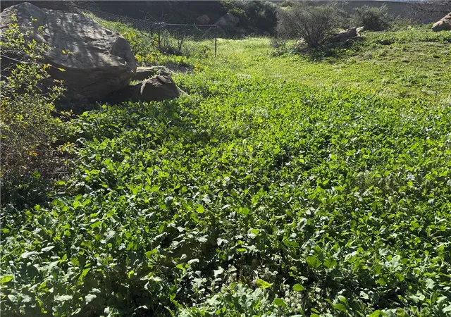 4th image of 21776 Mojave Trail, Chatsworth, CA 91311 | MLS# SR26012084