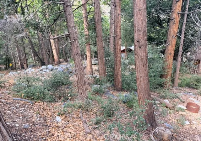 1st image of 40904 Spruce, Forest Falls, CA 92339 | MLS# IG26012496