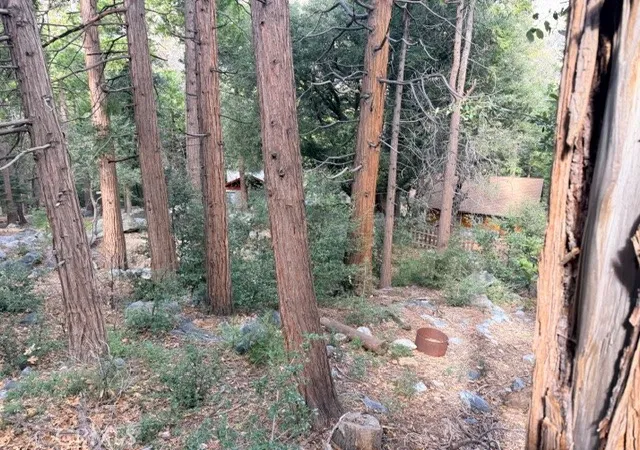 2nd image of 40904 Spruce, Forest Falls, CA 92339 | MLS# IG26012496