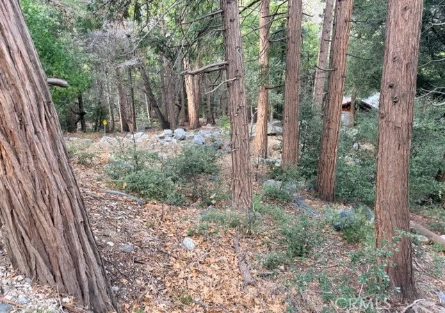 3rd image of 40904 Spruce, Forest Falls, CA 92339 | MLS# IG26012496