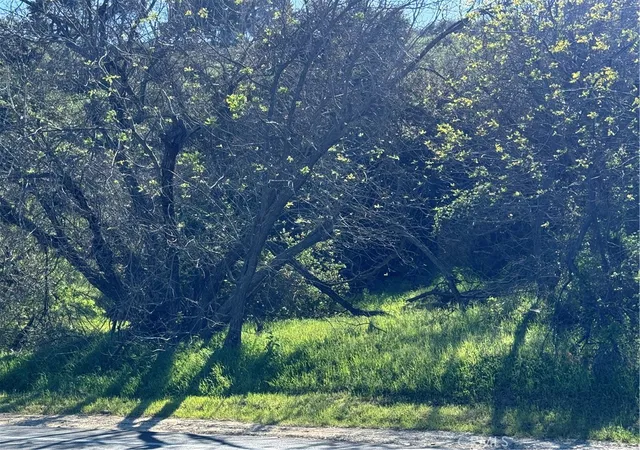 Photo 3 of Land for sale at 3300 N Topanga Cyn Blvd, Topanga, CA 90290 | MLS# CV26011442 | Listing updated on 2026-03-30