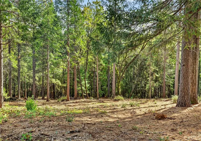 1st image of 0 Cedar Creek, Forest Ranch, CA 95942 | MLS# SN26009084