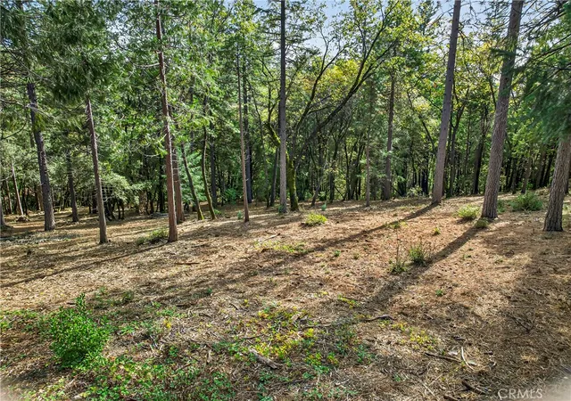 2nd image of 0 Cedar Creek, Forest Ranch, CA 95942 | MLS# SN26009084