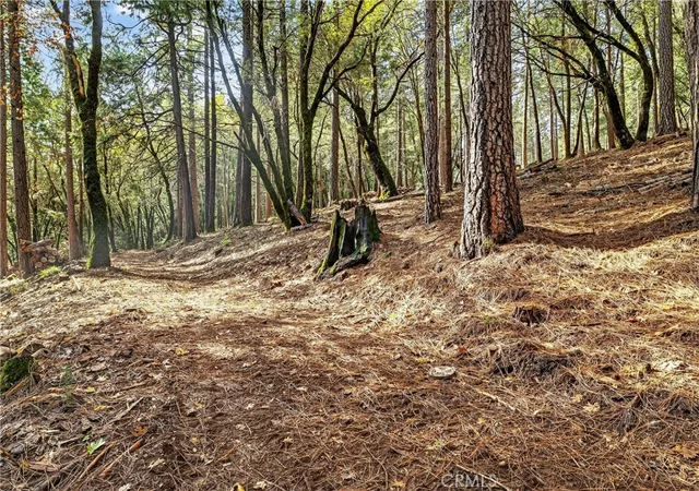 3rd image of 0 Cedar Creek, Forest Ranch, CA 95942 | MLS# SN26009084