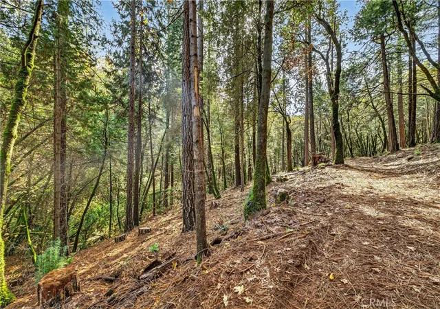 4th image of 0 Cedar Creek, Forest Ranch, CA 95942 | MLS# SN26009084