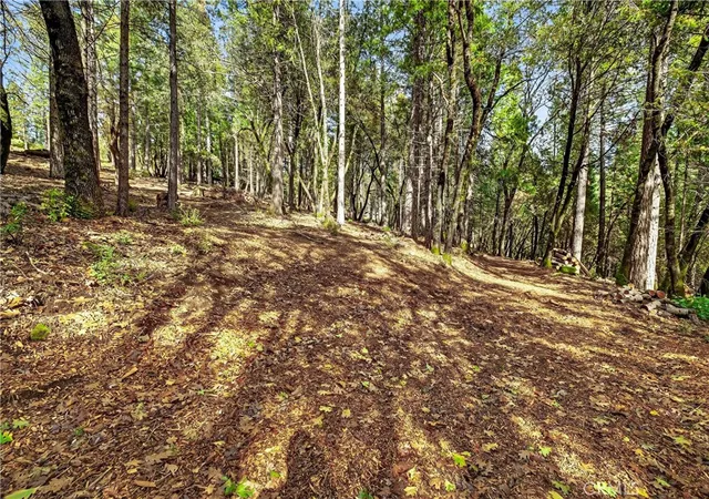 5th image of 0 Cedar Creek, Forest Ranch, CA 95942 | MLS# SN26009084