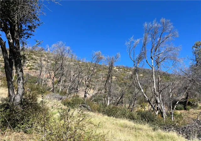 Photo 2 of Land for sale at 0 Triangle Rd, Mariposa, CA 95338 | MLS# MP26015298 | Listing updated on 2026-01-22