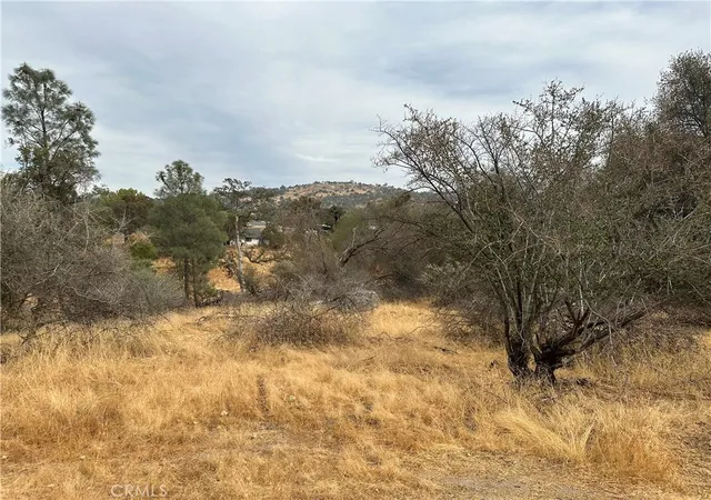 5th image of 0 Lot 880 Jim Bowie Ct, Coarsegold, CA 93614 | MLS# FR26016001