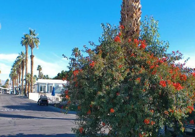 Photo 3 of Land for sale at 84136 Ave 44 #422, Indio, CA 92203 | MLS# 219141906DA | Listing updated on 2026-04-01