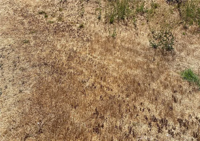 1st image of 0 Vac/ave G/vic 125 Stw, Antelope Acres, CA 93536 | MLS# PW26016136