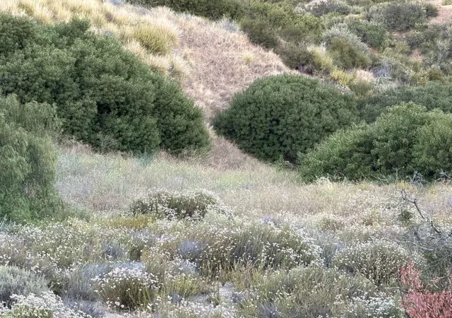 2nd image of 2 Coya Trail, Chatsworth, CA 91311 | MLS# SR26016320
