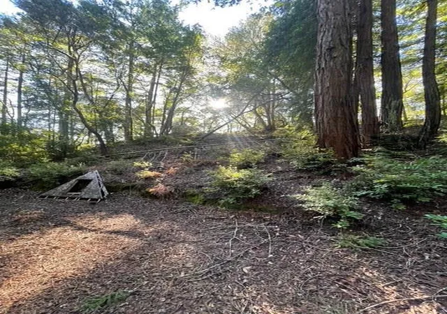 17th image of 0 Po Box 1104, Ben Lomond, CA 95005 | MLS# ML82032421