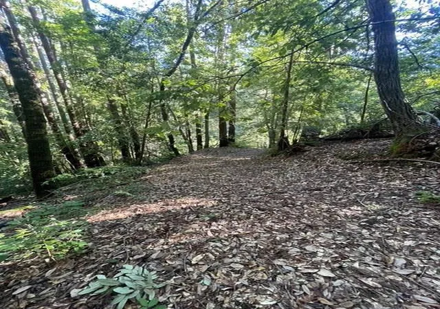 3rd image of 0 Po Box 1104, Ben Lomond, CA 95005 | MLS# ML82032421