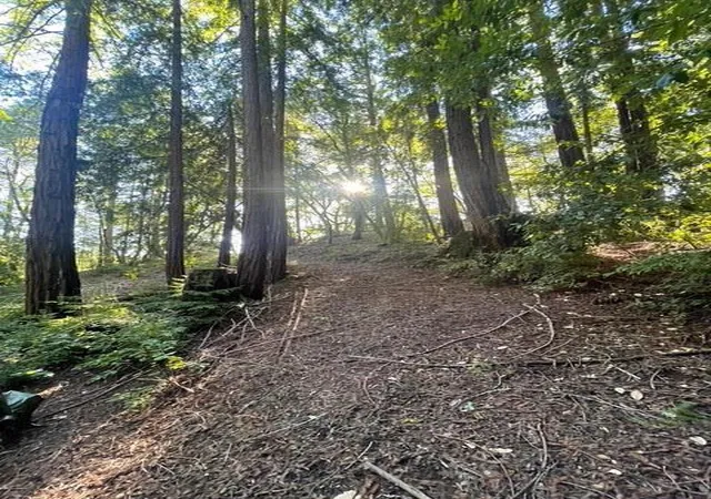 4th image of 0 Po Box 1104, Ben Lomond, CA 95005 | MLS# ML82032421