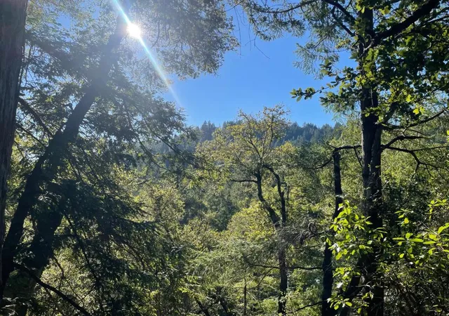 5th image of 0 Po Box 1104, Ben Lomond, CA 95005 | MLS# ML82032421