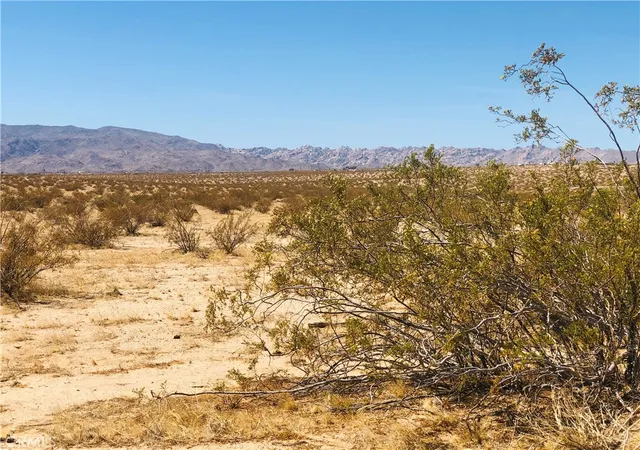 Homes for sale in 29 Palms, CA | 0 El Sando Ln, 29 Palms, CA 92277 | MLS# JT26017907