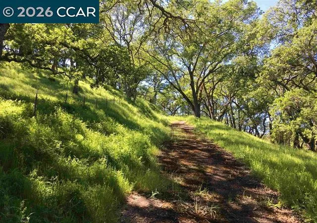 27th image of 283 Castle Hill Ranch Rd, Walnut Creek, CA 94595 | MLS# 41122147