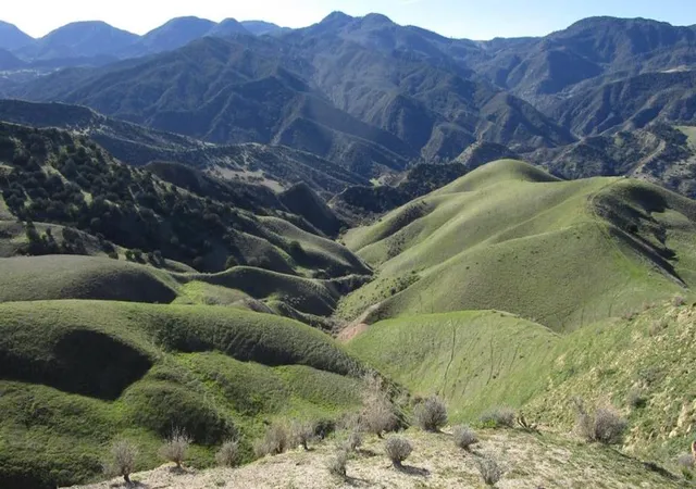 2nd image of 19825 New Idria Rd, Paicines, CA 95043 | MLS# ML82032657