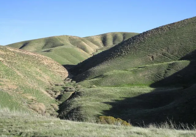 35th image of 19825 New Idria Rd, Paicines, CA 95043 | MLS# ML82032657
