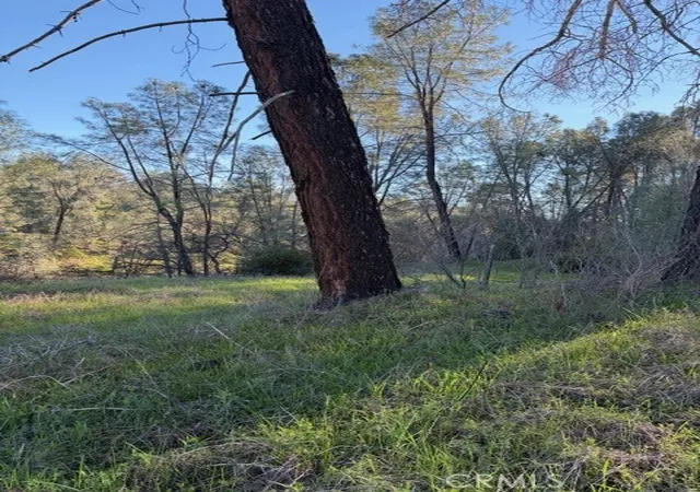 5th image of 7098 Corral, Corning, CA 96021 | MLS# SN26019419