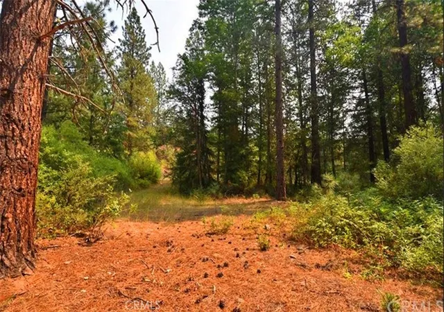 16th image of 0 Scott River Rd, Fort Jones, CA 96032 | MLS# SW26019994