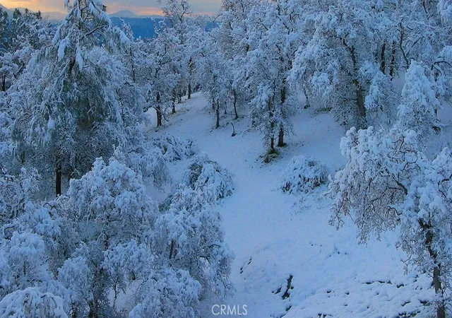 1st image of 0 Revis Rd, Coarsegold, CA 93614 | MLS# SW26019996