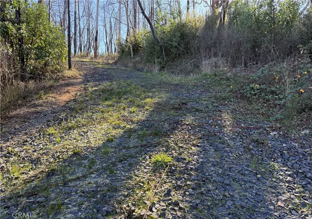 Photo 3 of Land for sale at 0 Inalane, Berry Creek, CA 95916 | MLS# SN26020859 | Listing updated on 2026-01-29