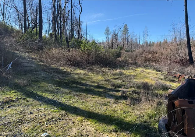 Photo 4 of Land for sale at 0 Inalane, Berry Creek, CA 95916 | MLS# SN26020859 | Listing updated on 2026-01-29