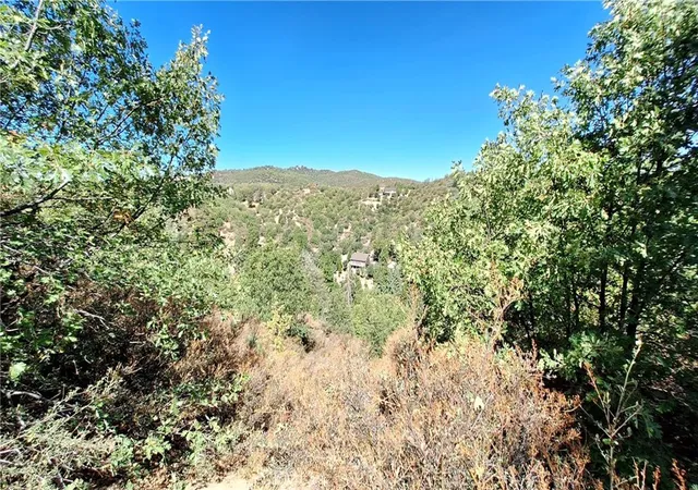 1st image of 0 Coulter, Cedar Glen, CA 92321 | MLS# IV26022245