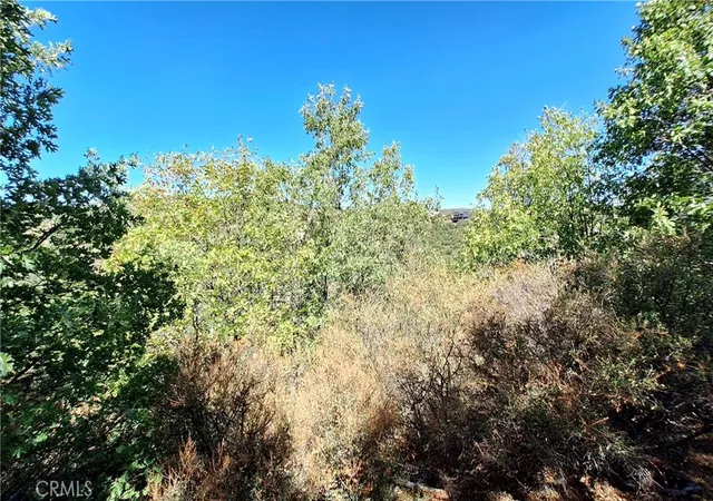 2nd image of 0 Coulter, Cedar Glen, CA 92321 | MLS# IV26022245