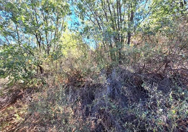3rd image of 0 Coulter, Cedar Glen, CA 92321 | MLS# IV26022245