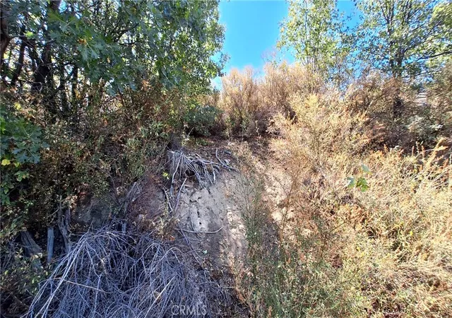 4th image of 0 Coulter, Cedar Glen, CA 92321 | MLS# IV26022245