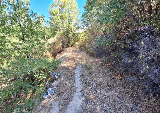 5th image of 0 Coulter, Cedar Glen, CA 92321 | MLS# IV26022245