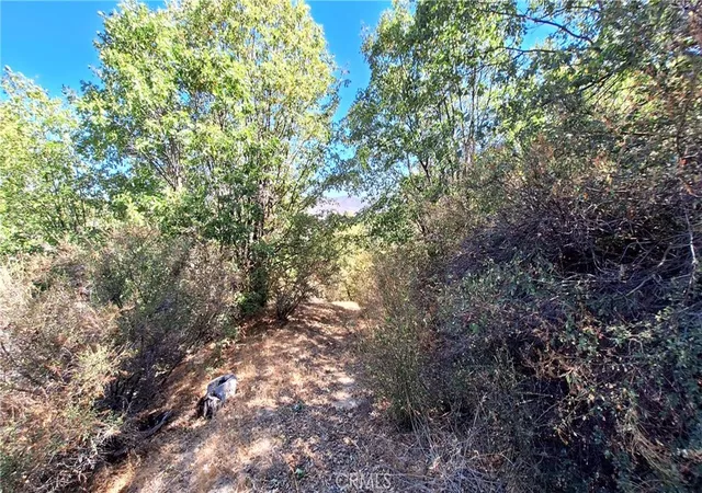 Photo 3 of Land for sale at 0 Coulter, Cedar Glen, CA 92321 | MLS# IV26022342 | Listing updated on 2026-06-24