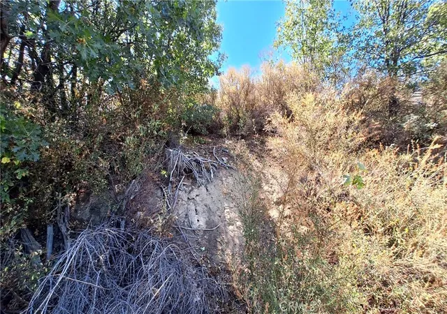 Photo 4 of Land for sale at 0 Coulter, Cedar Glen, CA 92321 | MLS# IV26022342 | Listing updated on 2026-06-24
