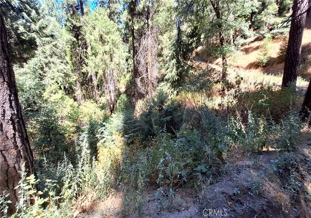 Homes for sale in Cedarpines Park, CA | 0 El Valle, Cedarpines Park, CA 92322 | MLS# IV26022377