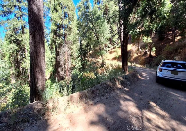 Homes for sale in Cedarpines Park, CA | 0 El Valle, Cedarpines Park, CA 92322 | MLS# IV26022377