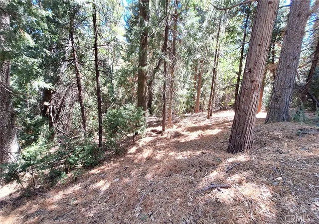 Homes for sale in Cedarpines Park, CA | 0 Cedar Pines, Cedarpines Park, CA 92322 | MLS# IV26022398