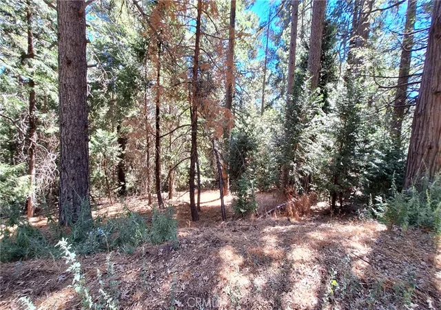 Homes for sale in Cedarpines Park, CA | 0 Cedar Pines, Cedarpines Park, CA 92322 | MLS# IV26022398