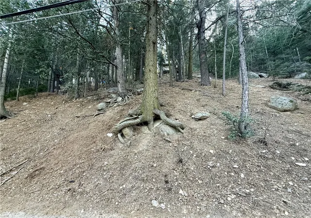 Photo 1 of Land for sale at 0 Scenic View, Crestline, CA 92325 | MLS# CV26022596 | Listing updated on 2026-09-16