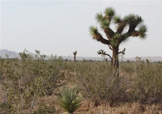 Photo 1 of Land for sale at 0 3129 171 06 0000 Caughlin Rd, Adelanto, CA 92301 | MLS# IG26023104 | Listing updated on 2026-03-08