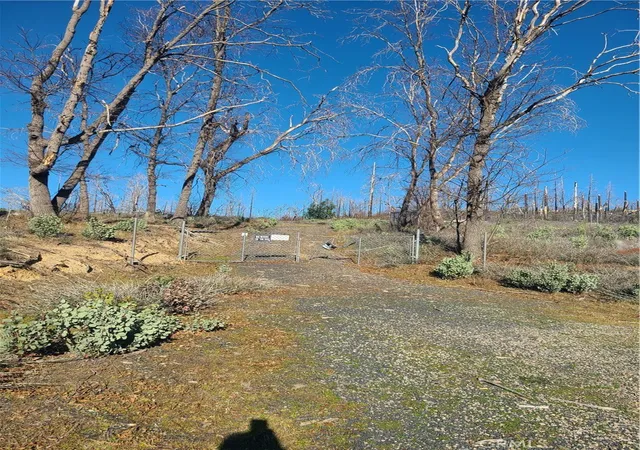 Photo 1 of Land for sale at 81 Green Cedar, Berry Creek, CA 95916 | MLS# OR26023199 | Listing updated on 2026-02-01