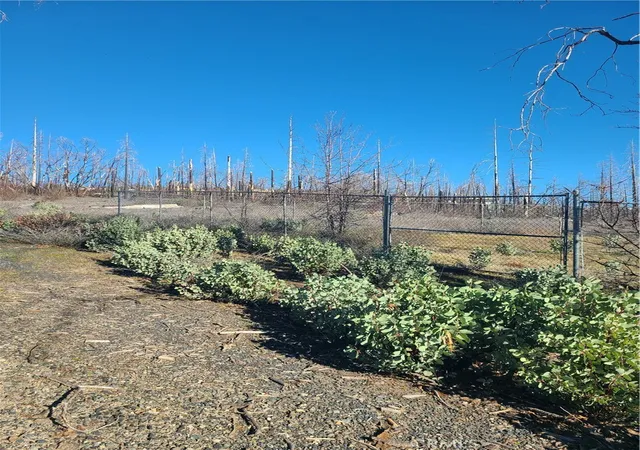 Photo 2 of Land for sale at 81 Green Cedar, Berry Creek, CA 95916 | MLS# OR26023199 | Listing updated on 2026-02-01