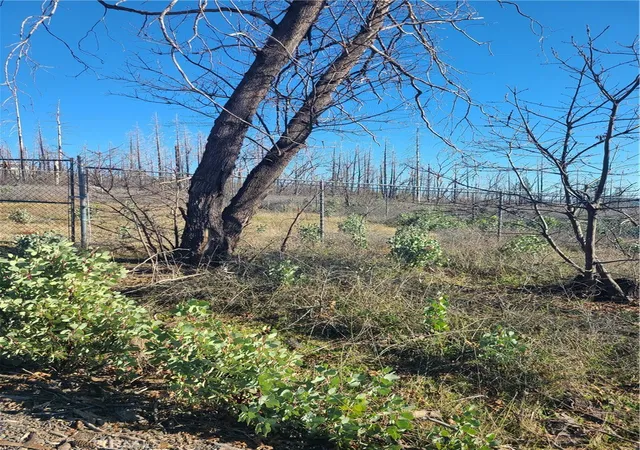 Photo 3 of Land for sale at 81 Green Cedar, Berry Creek, CA 95916 | MLS# OR26023199 | Listing updated on 2026-02-01