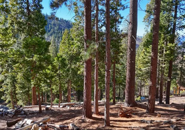 Photo 3 of Land for sale at 7349 & 7473 Yosemite Park Way, Yosemite National Park, CA 95389 | MLS# FR26023287 | Listing updated on 2026-09-18