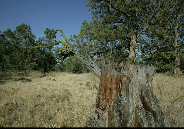 4th image of 0 99Xx Big Springs Rd, Montague, CA 96064 | MLS# SR26023320