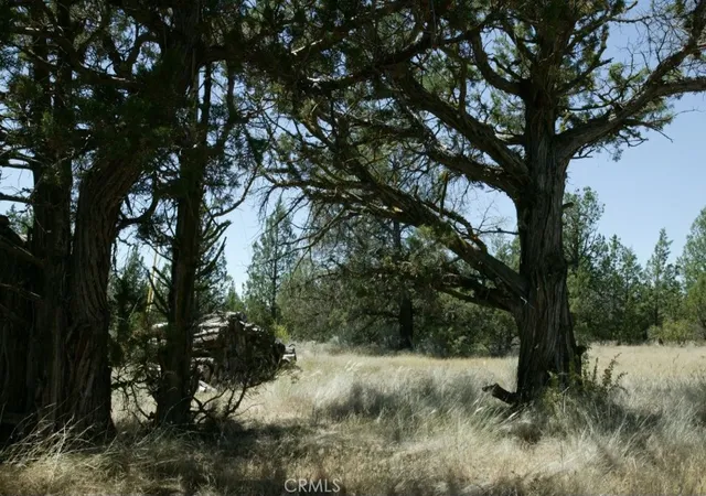 5th image of 0 99Xx Big Springs Rd, Montague, CA 96064 | MLS# SR26023320