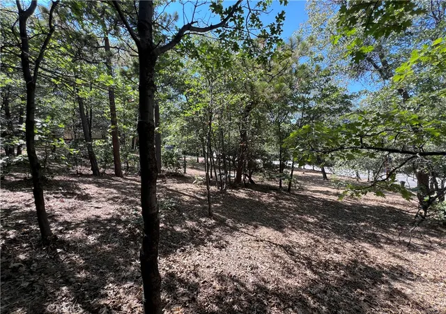 5th image of 28195 N Bay Rd, Lake Arrowhead, CA 92352 | MLS# GD26023416
