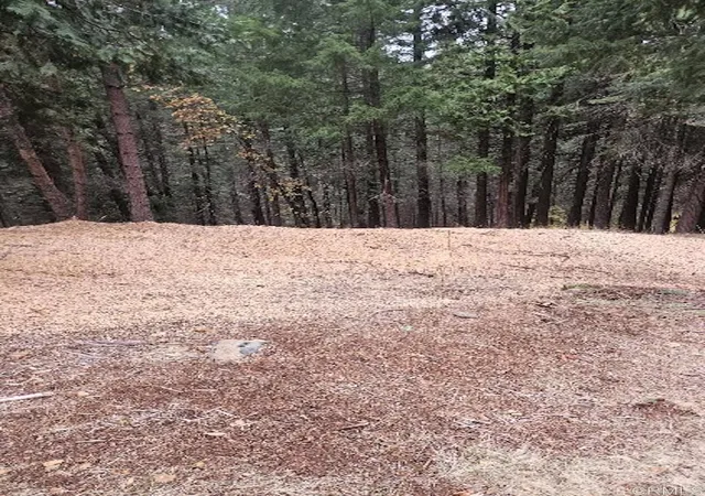 2nd image of 4952 Sierra Springs Dr, Pollock Pines, CA 95726 | MLS# PTP2600819
